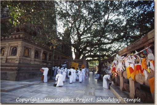 ブッダガヤの大菩提寺　Mahabodhi Temple Complex at Bodh Gaya